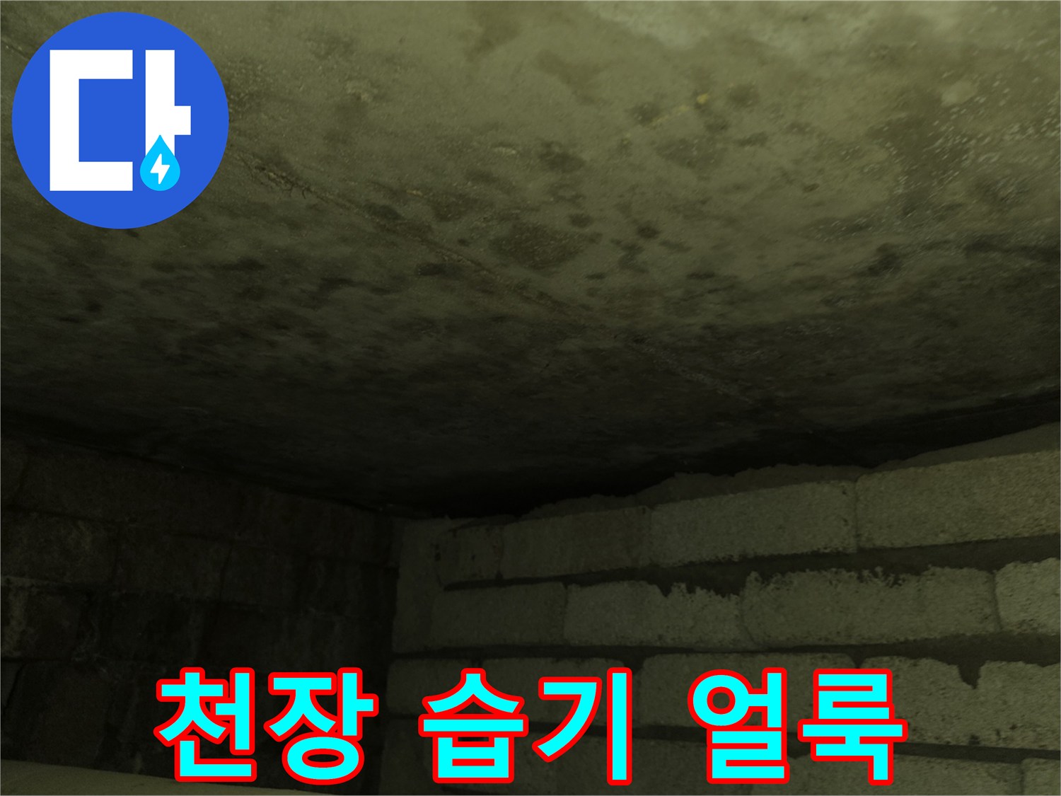 물샘으로 인해 변색된 천장 내부 모습