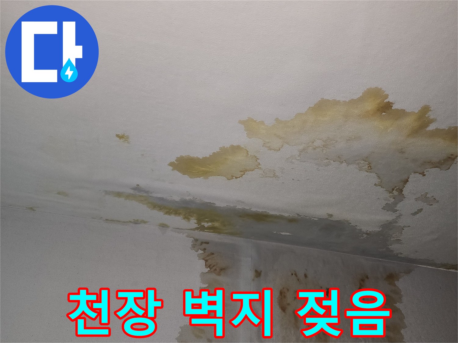 천장-경계-부근의-물자국-현황