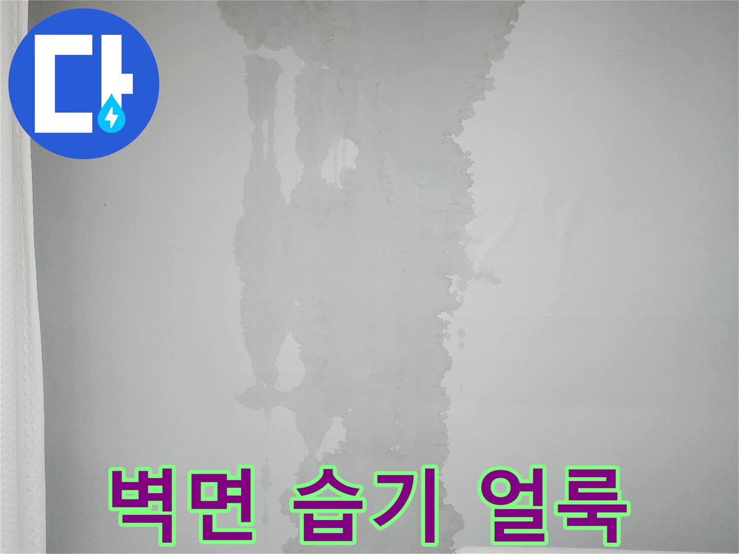 축축하게-젖어있는-벽지-상단-부위
