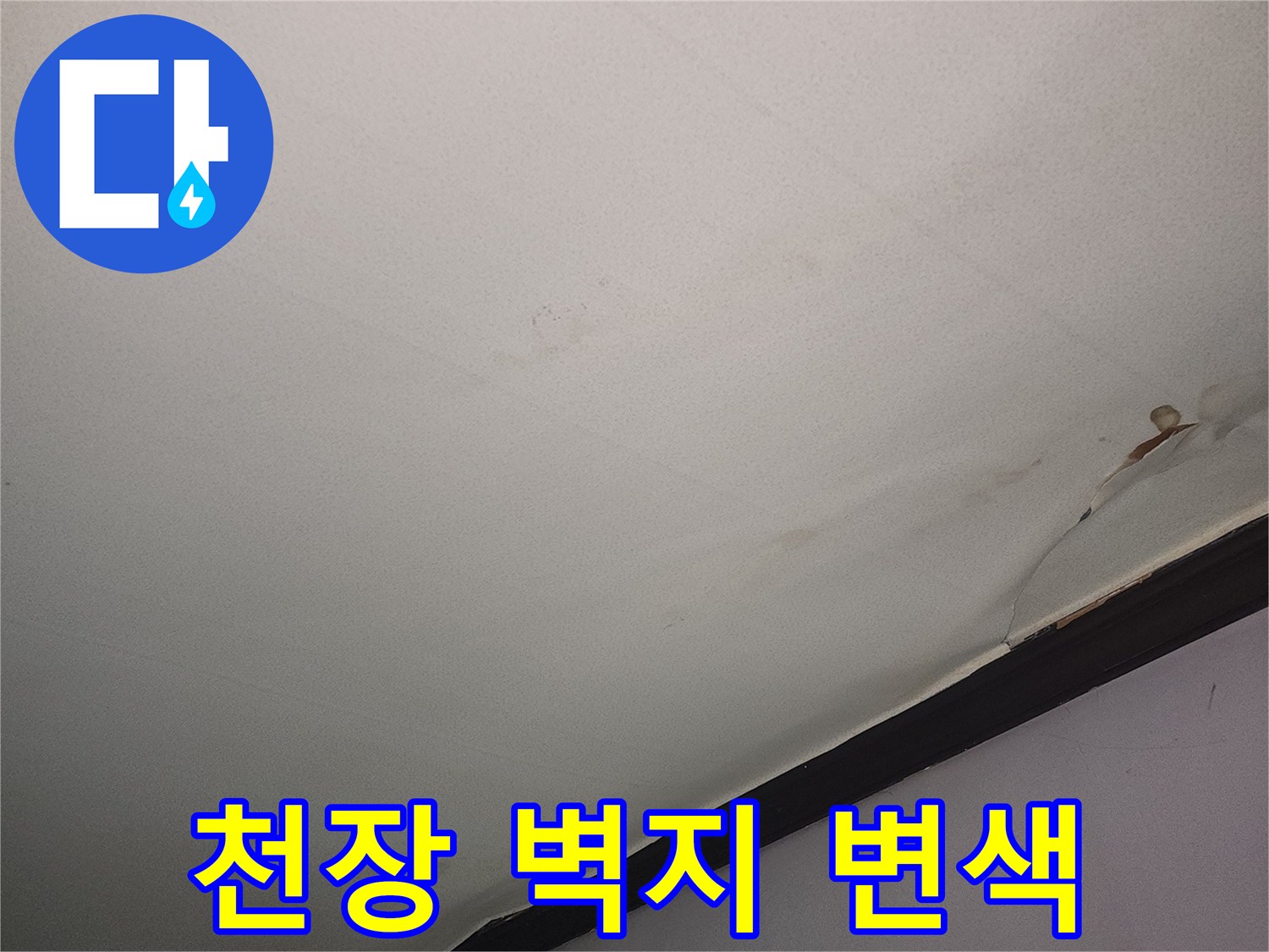 거실-천장-벽지-얼룩-및-변색-상태