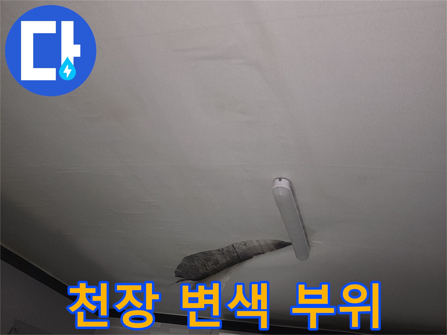 아랫집 거실-천장지가 젖어있는 모습