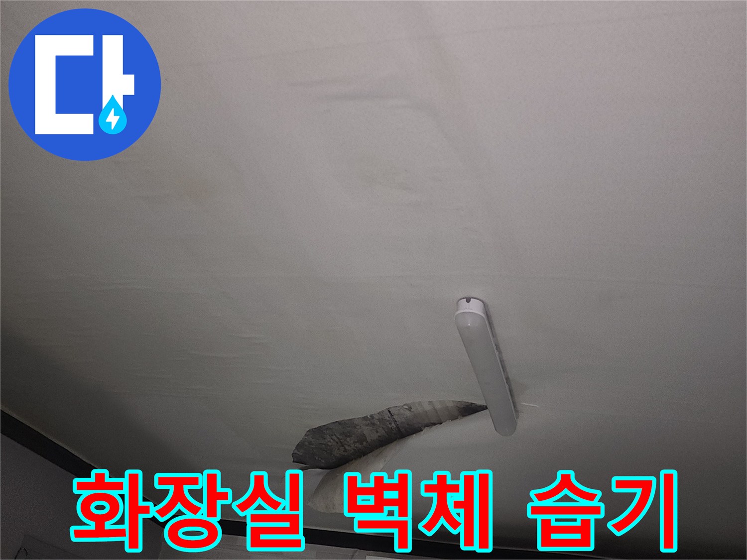 욕실-벽면-하단부-습기-침투-상태