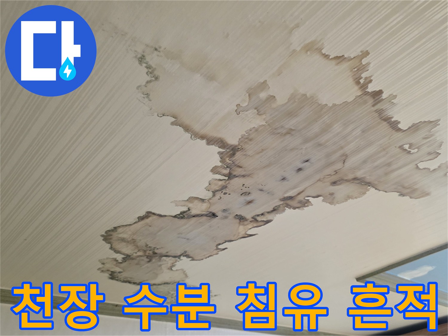 천장 마감재에 발생한-넓은 형태의 누수 오염 부위 상세 사진