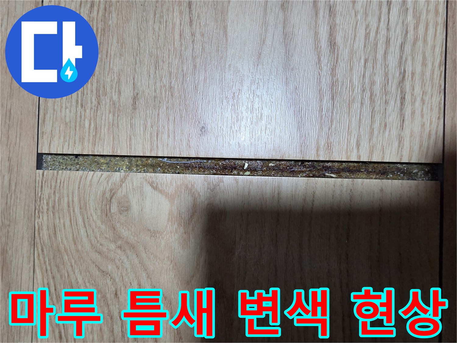 변색된 마루-습기 유입 흔적 관찰