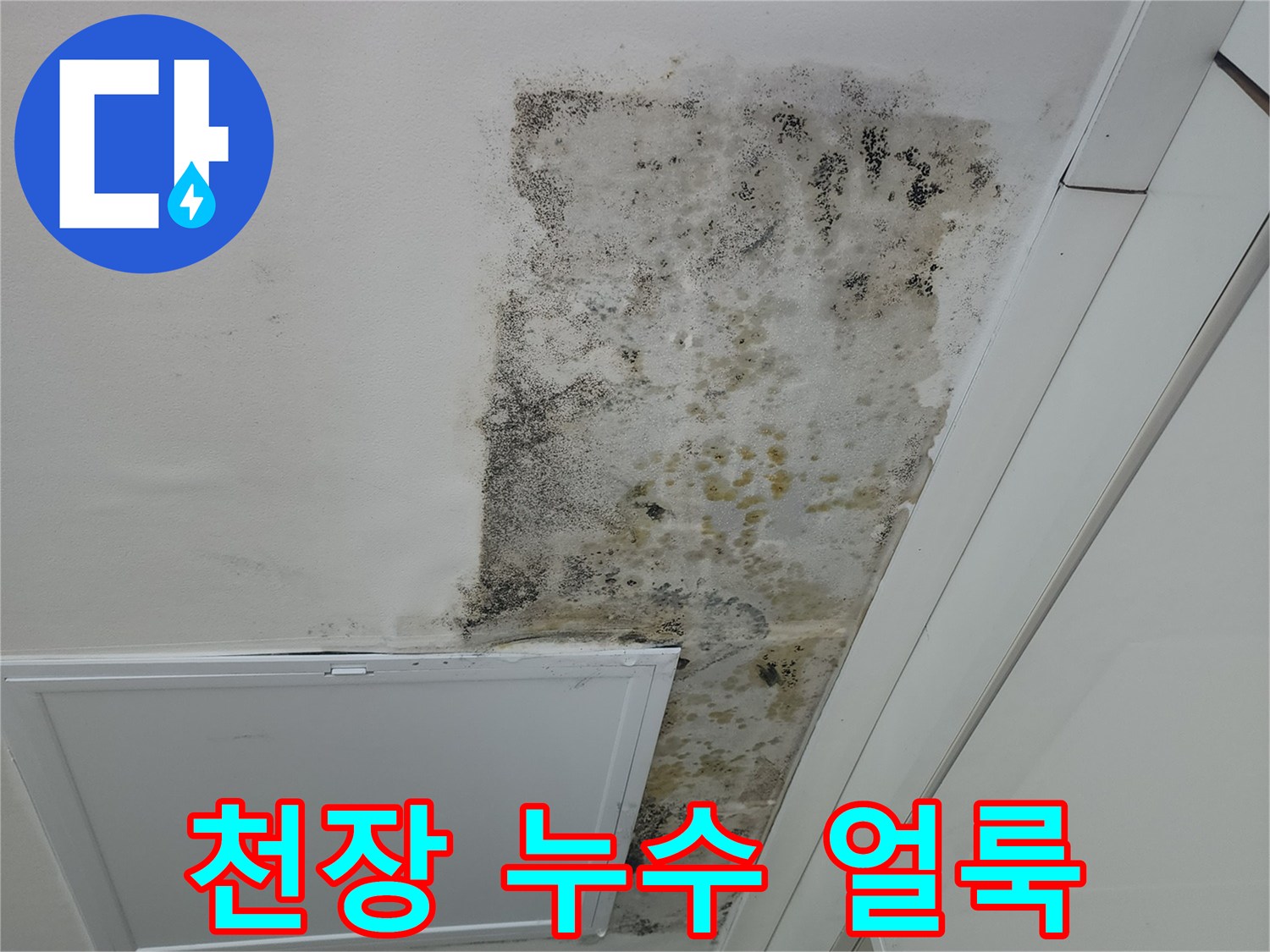 상도동 오피스텔-천장 마감재의 심한 물자국