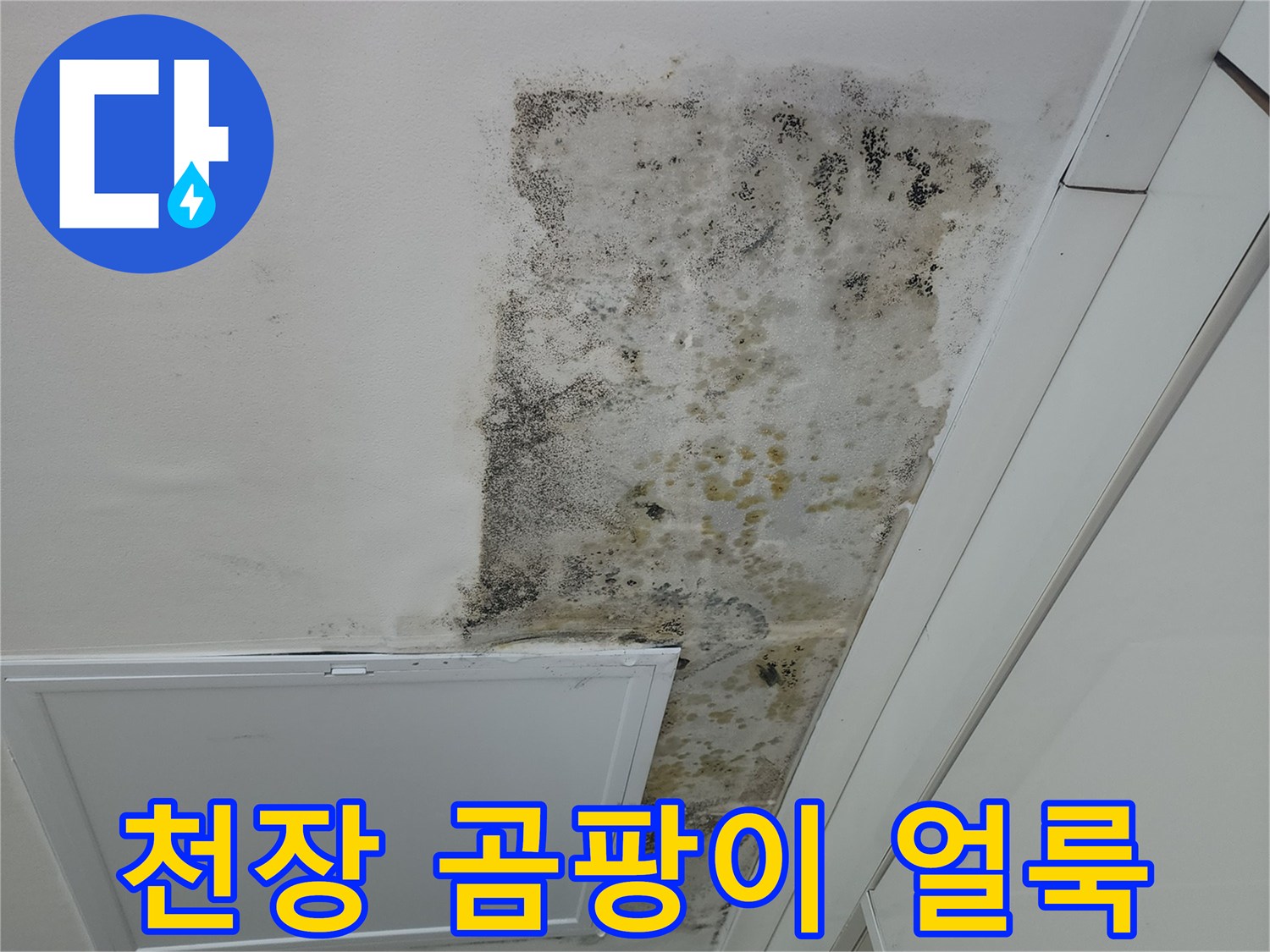 오피스엘 천장-곰팡이와 물자국 흔적