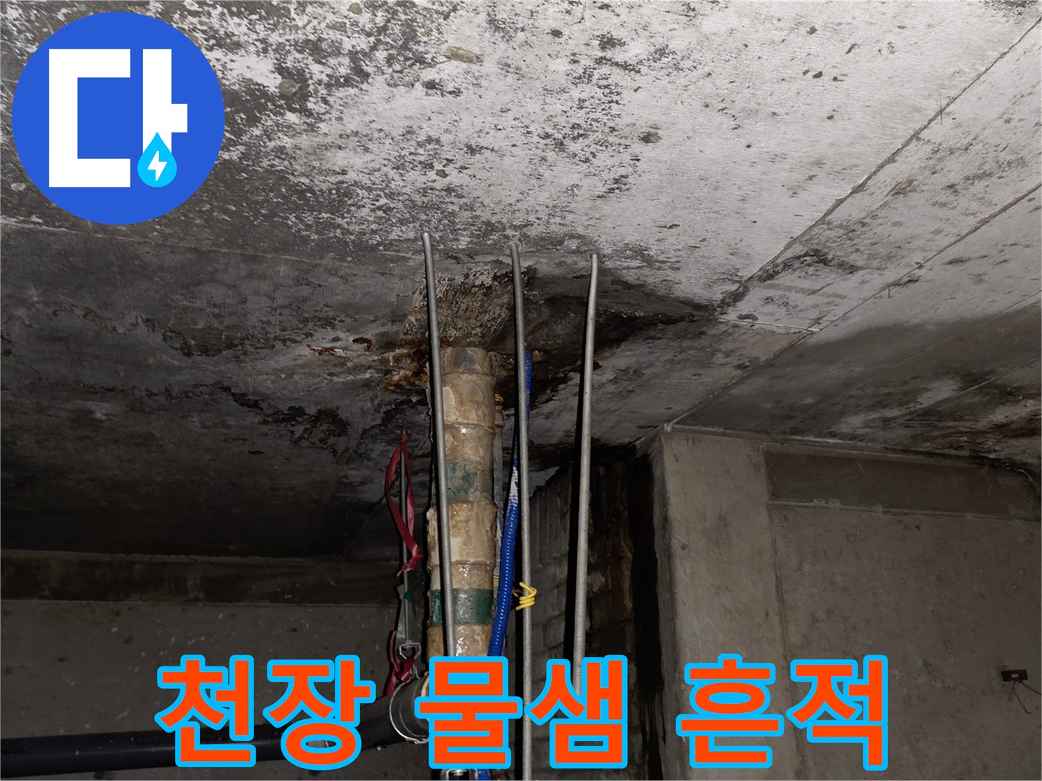 분당 수내동 상가-천장 슬래브 오염 상태