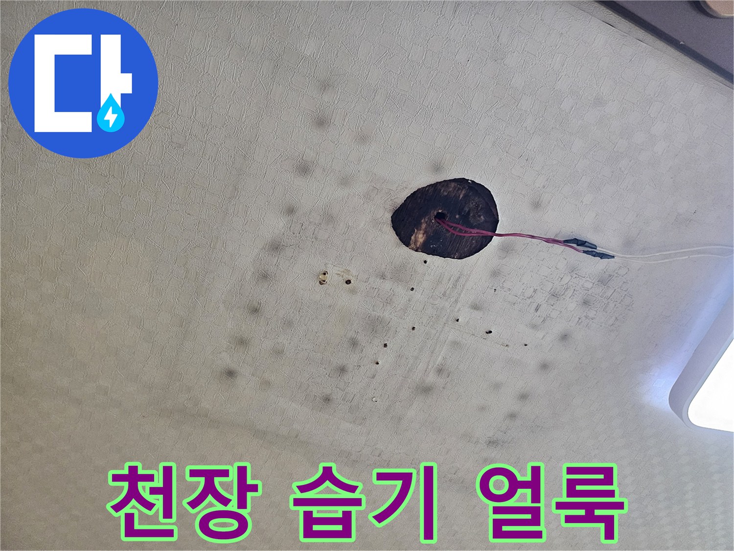 물샘-흔적이-남은-화장실-천장-텍스