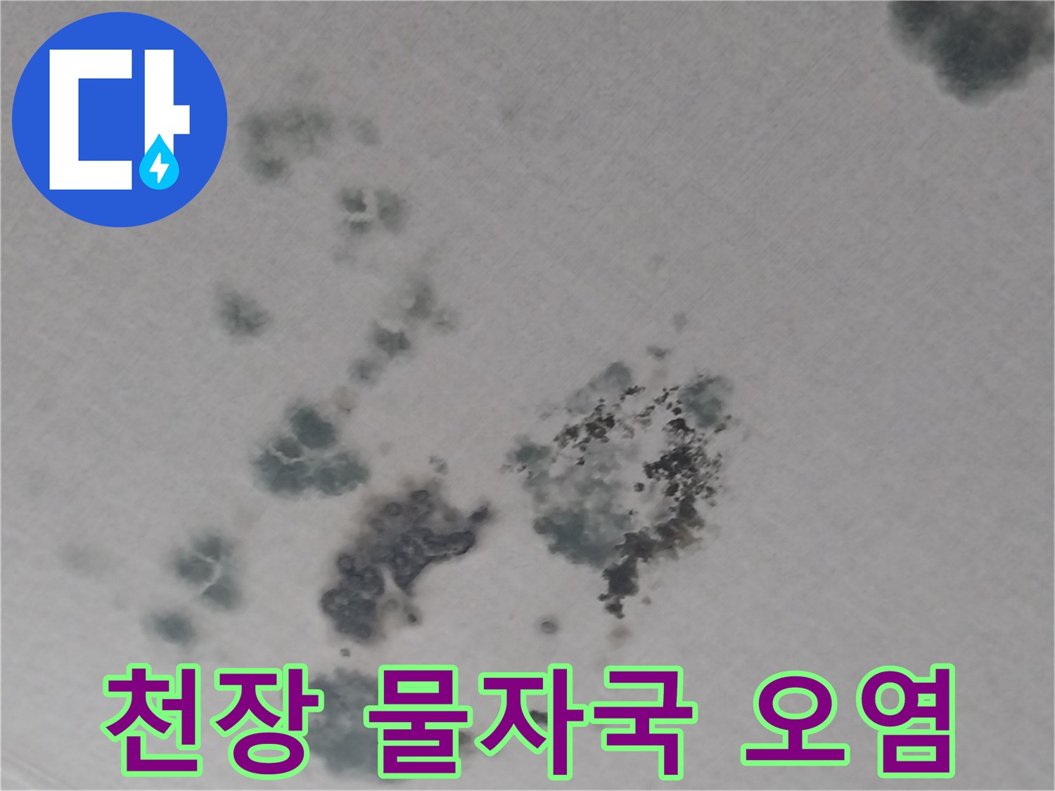거실-천장-벽지-누수-흔적-및-곰팡이