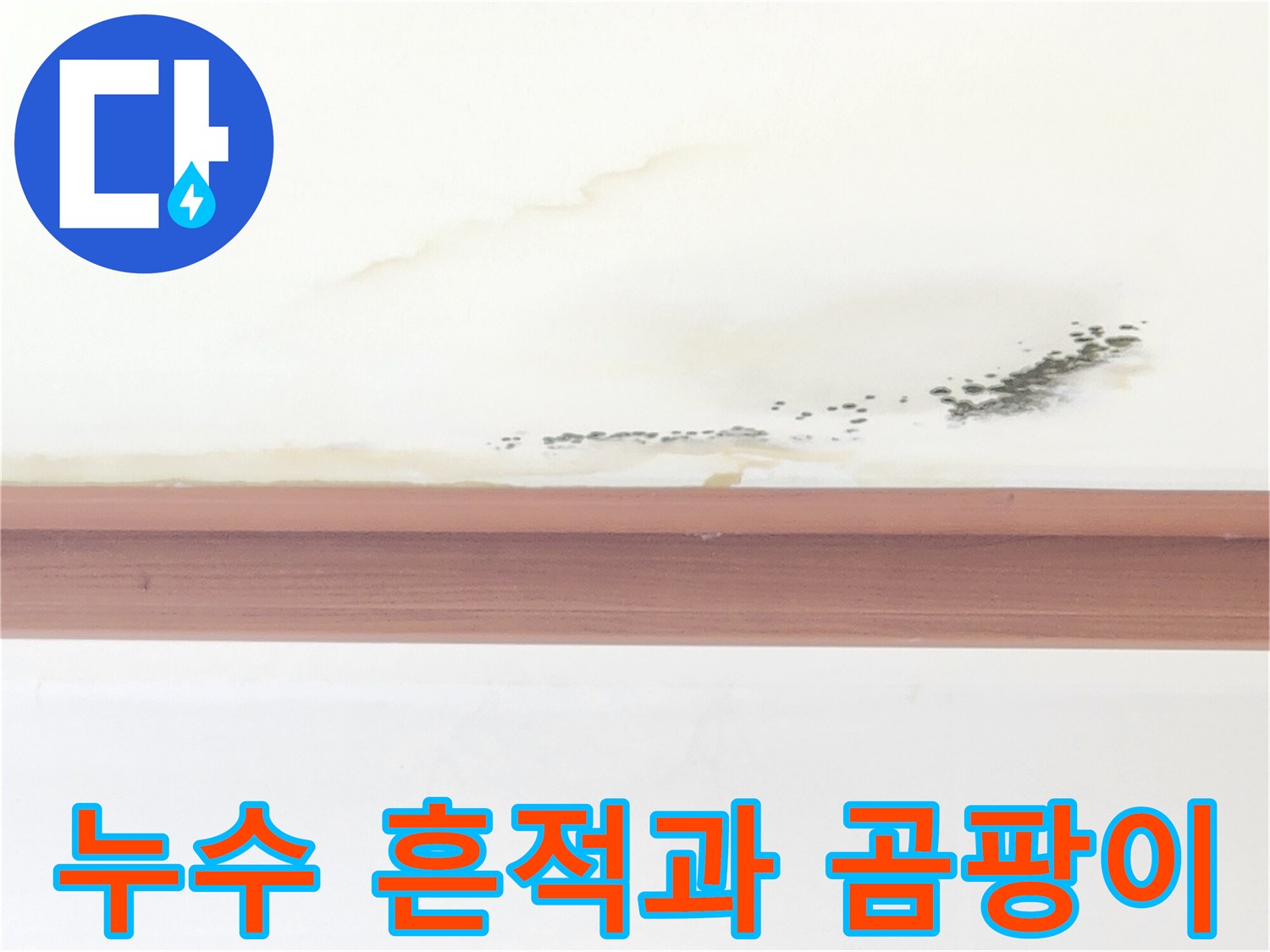 천장-중앙부의-넓은-물자국과-가장자리-곰팡이