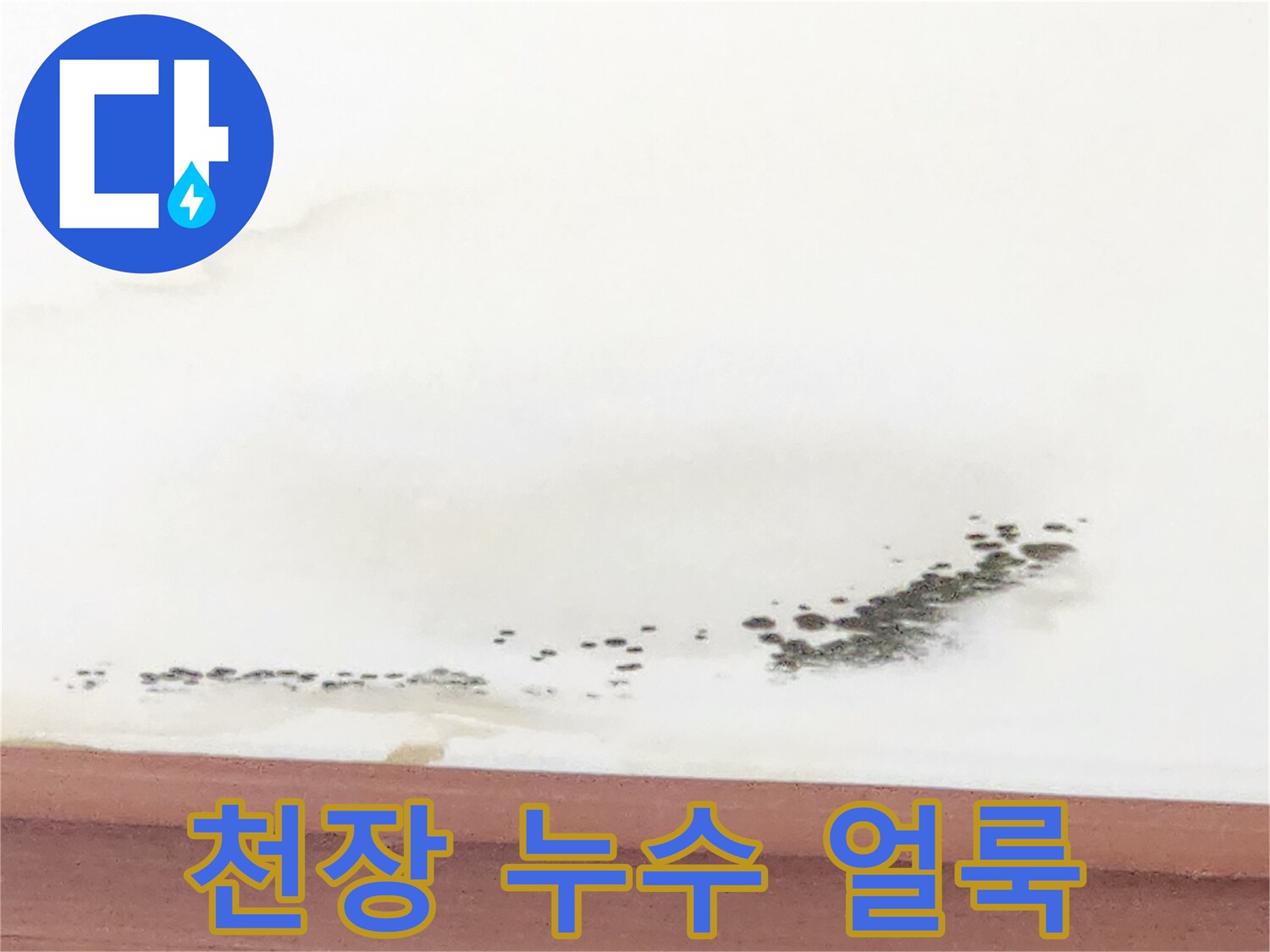 흰색-벽지에-생긴-누런-물자국과-검은-곰팡이