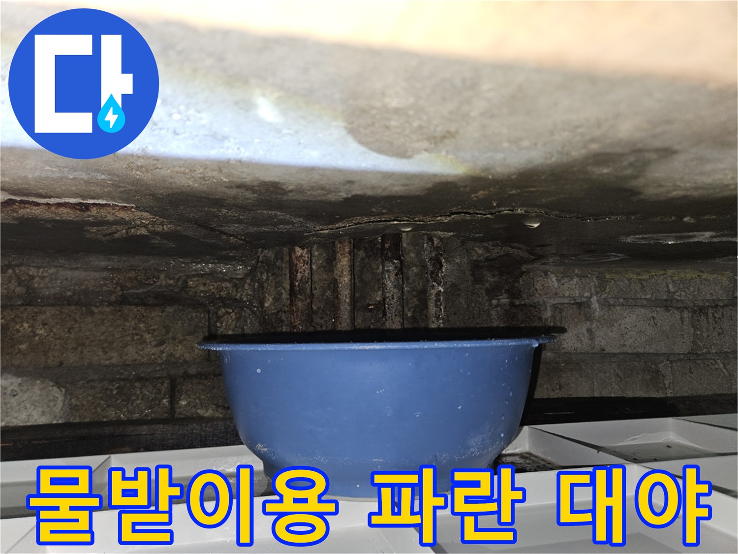 천장에서 떨어지는 물을 받치고 있는 파란색 용기