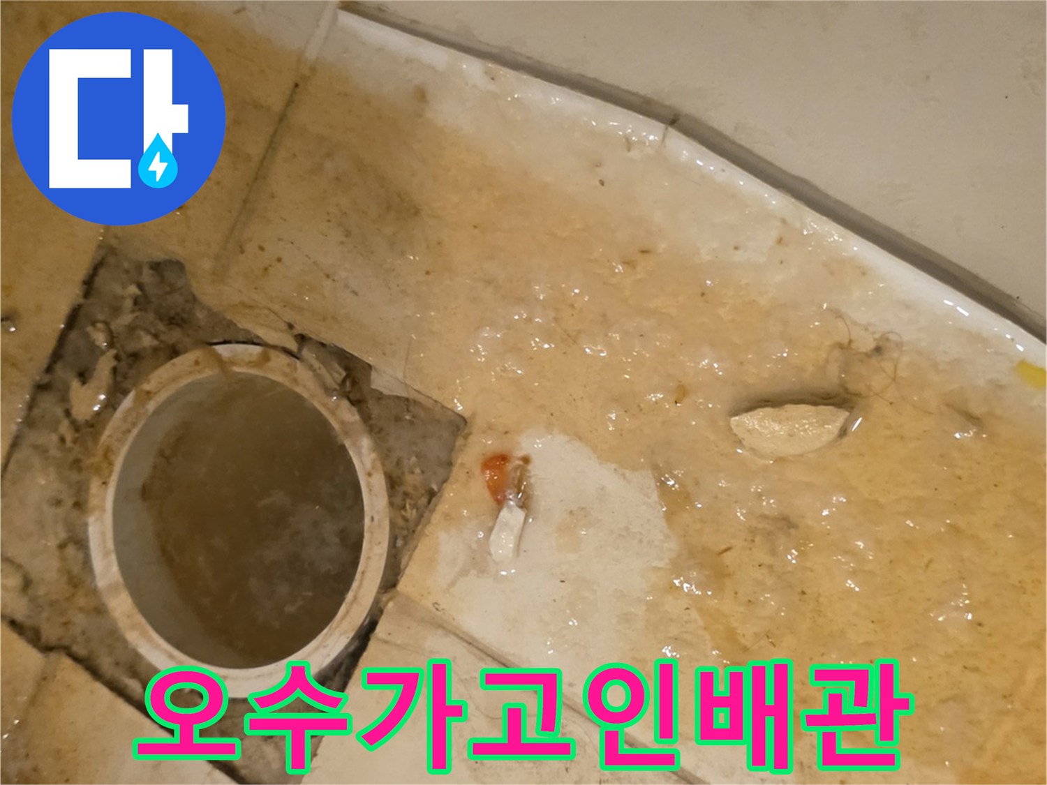 오수관-입구에-가득히-차있는-오물과-고인-물