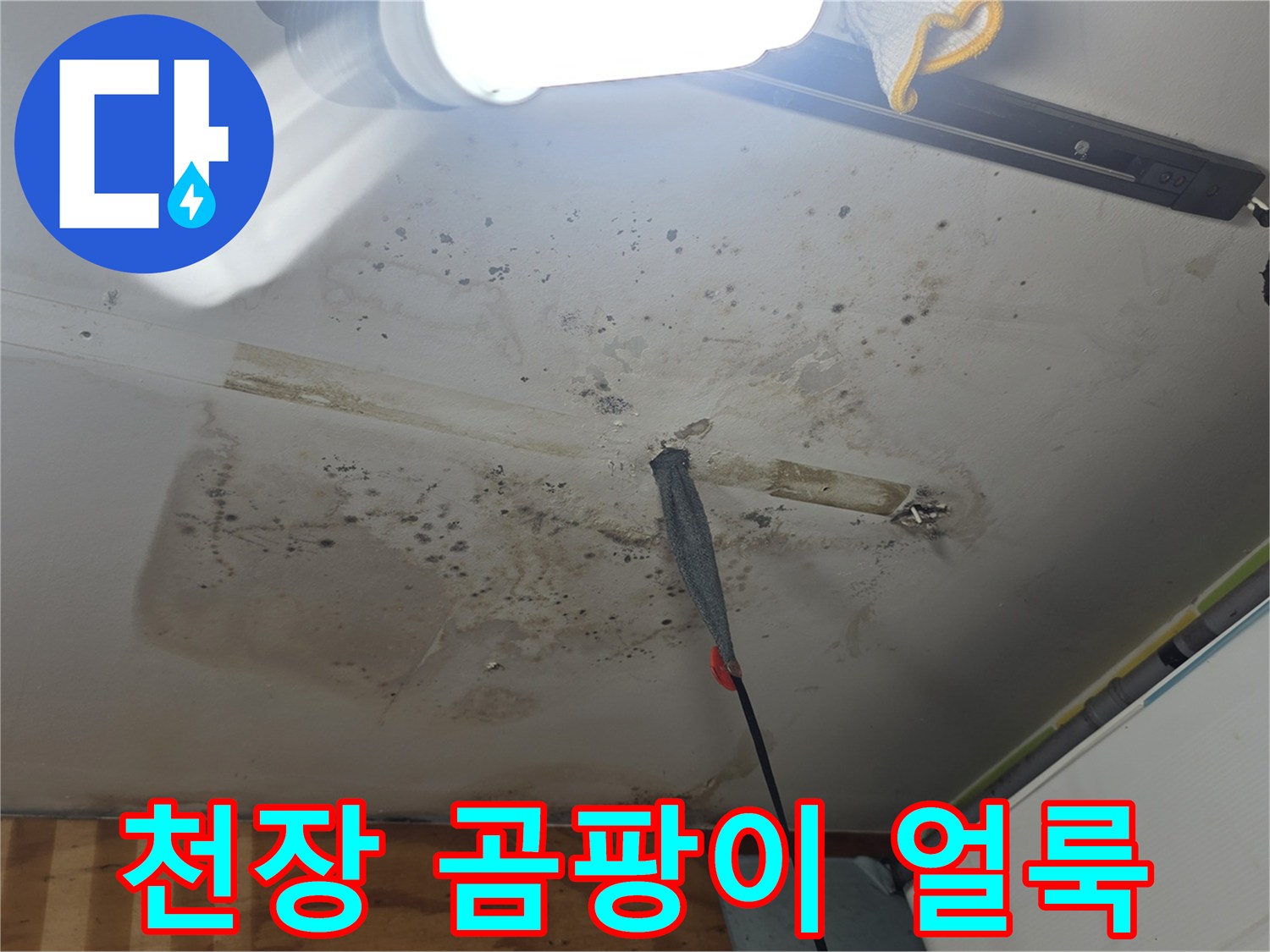 천장 마감재-습기로 인한 곰팡이와 변색 상태