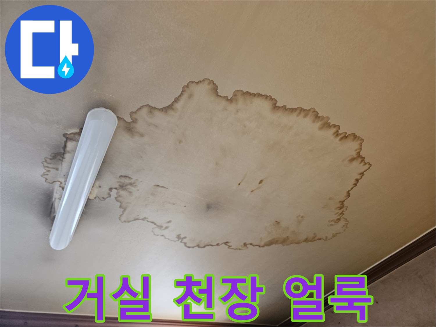 갈색으로 번진 거실 천장의 누수 피해 흔적 사진