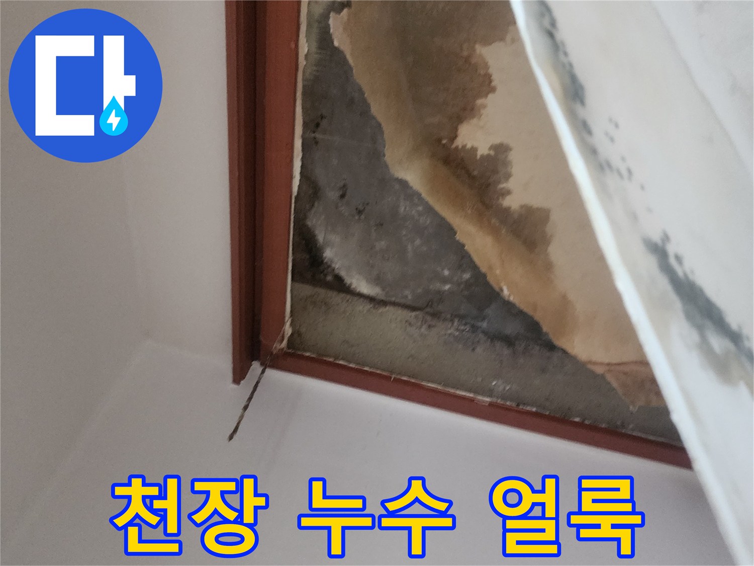 천장 내부의 갈색 수분 침투 흔적