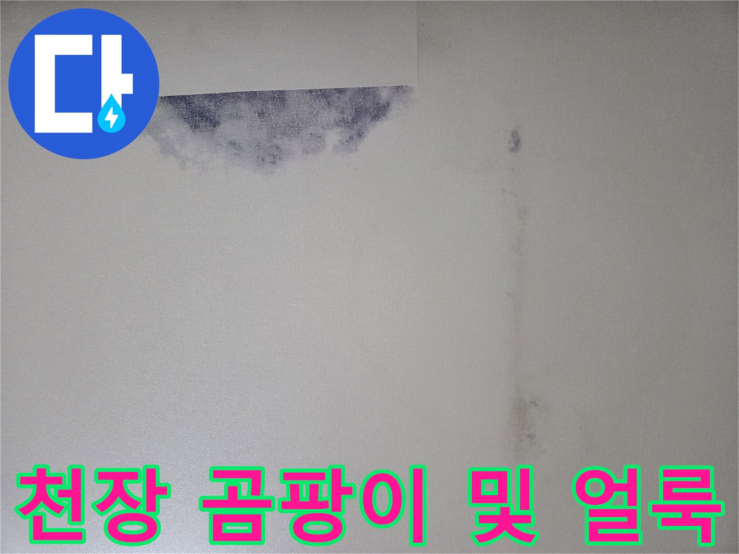 물기가 스며든 천장 벽지의 곰팡이 흔적