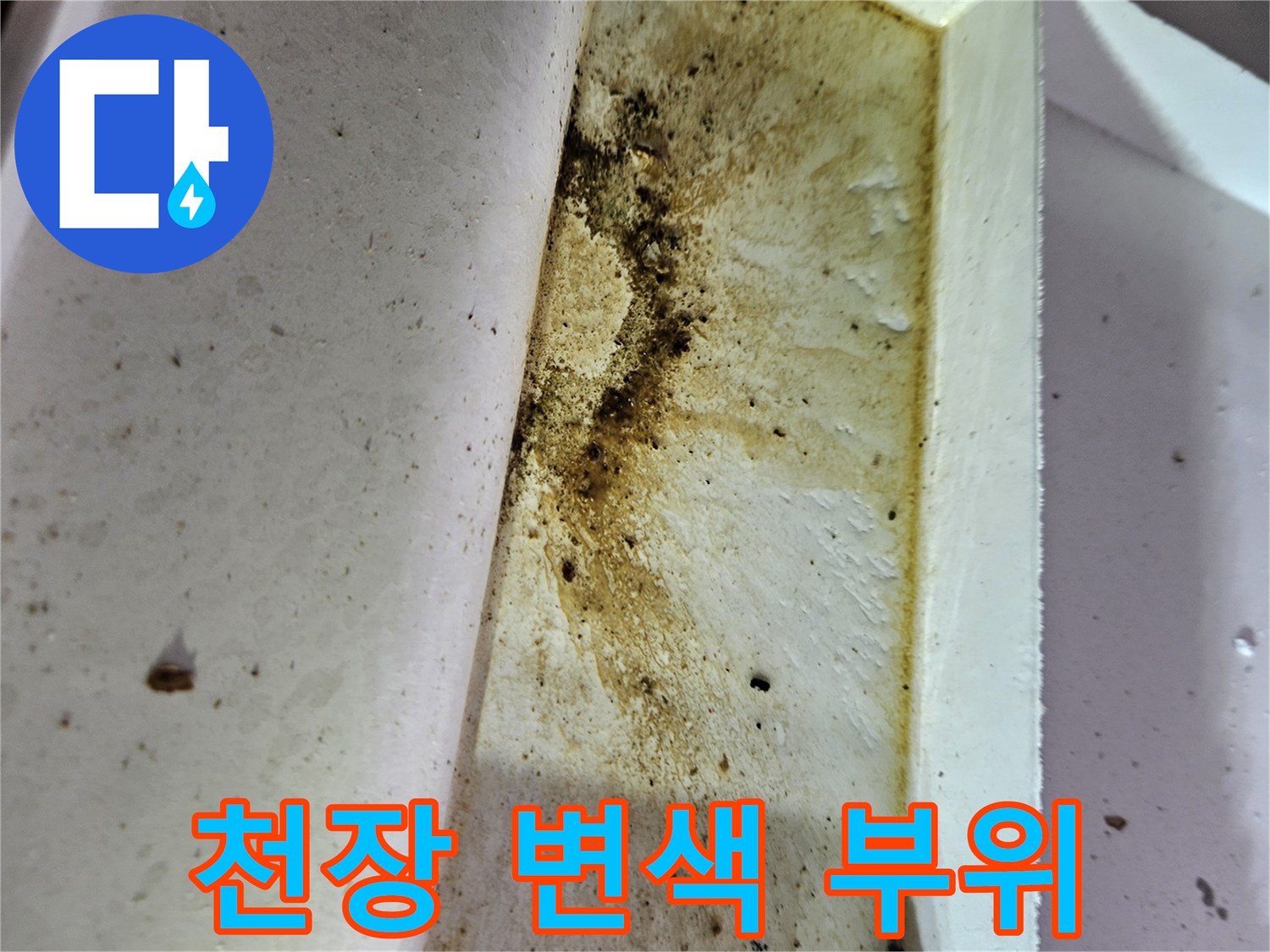 천장-마감재의-누수-물자국과-변색-상태