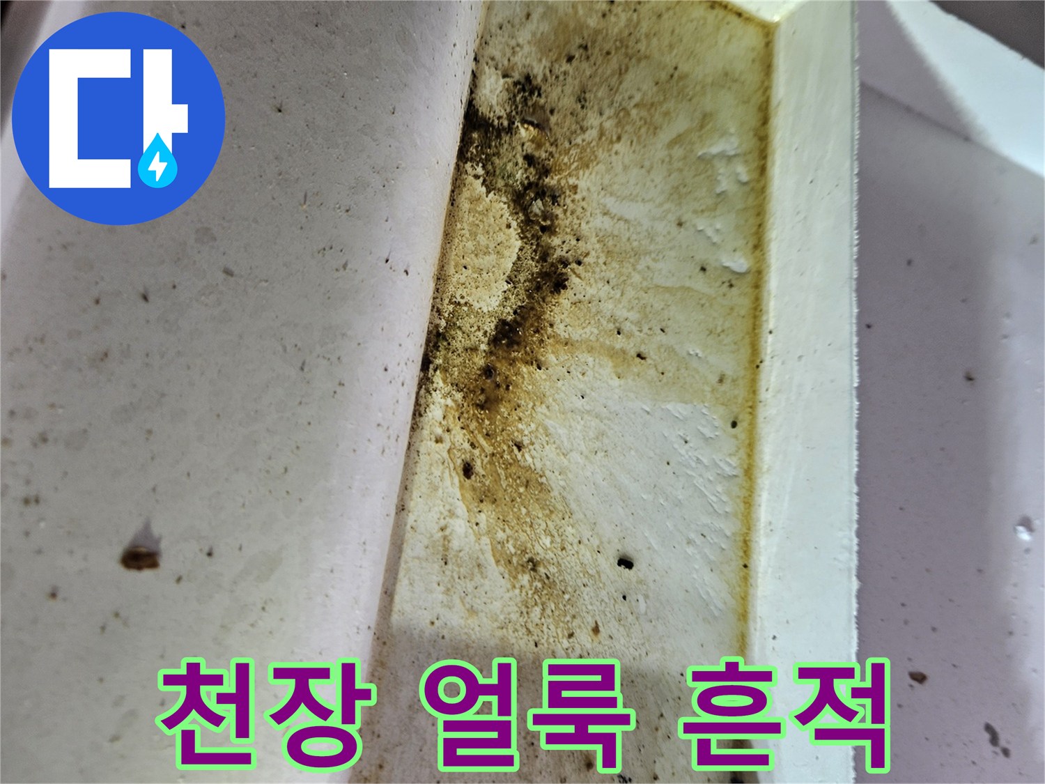 화곡동-아파트-천장-배관-주변-물샘-흔적