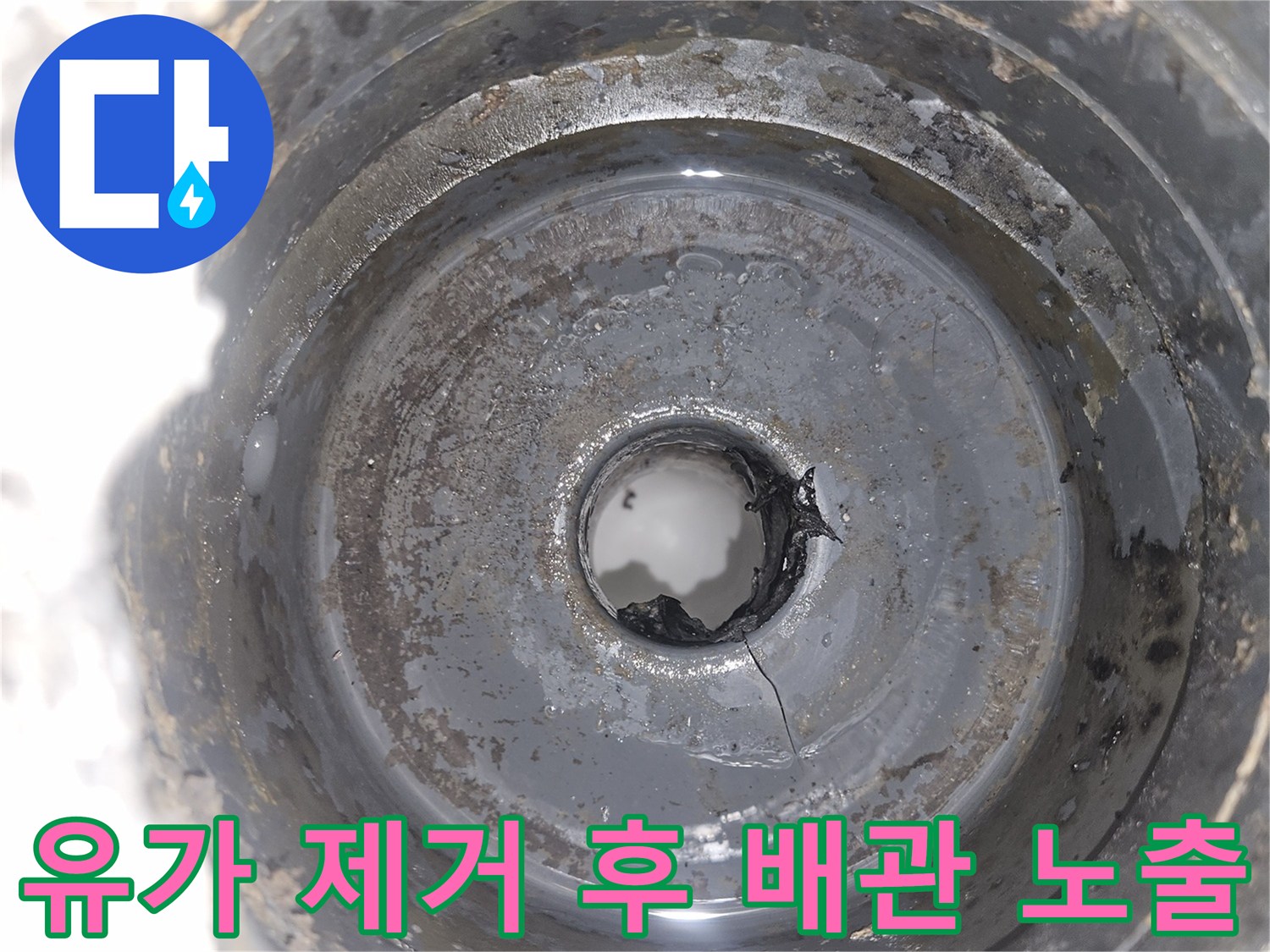 세탁실 하수구 내측 및 연결부의 구조적 결함 확인