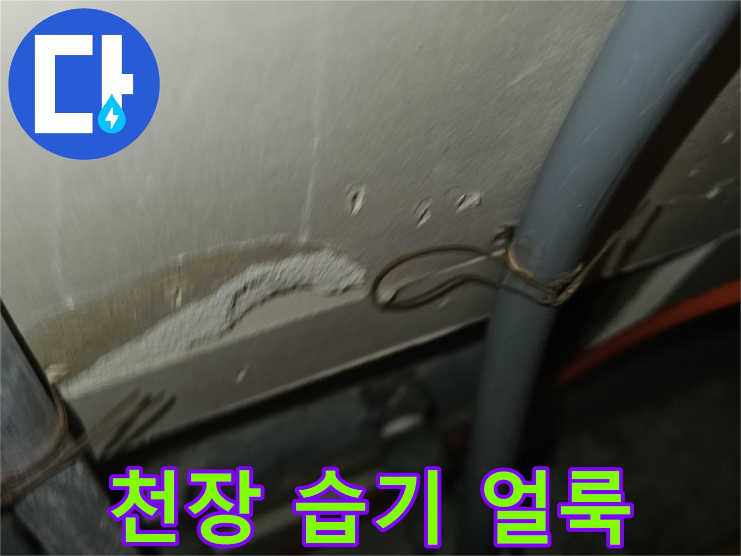 천장 마감재 부근의 누수 피해 현황