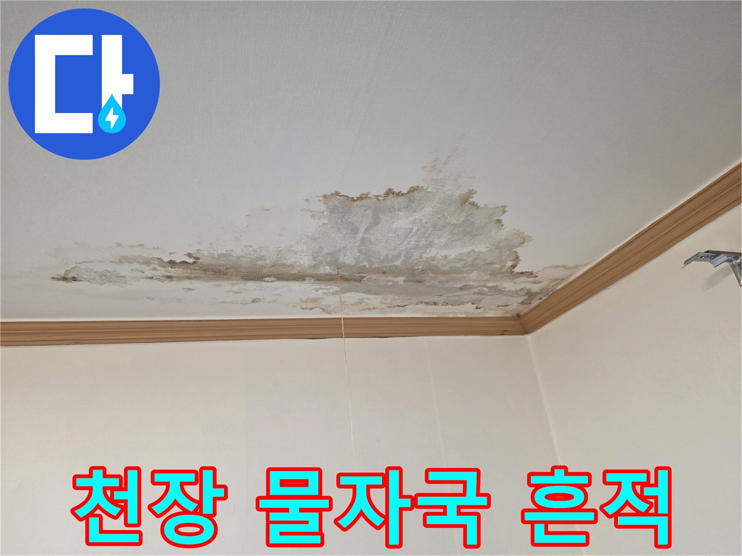 넓게-번진-천장의-누수-얼룩