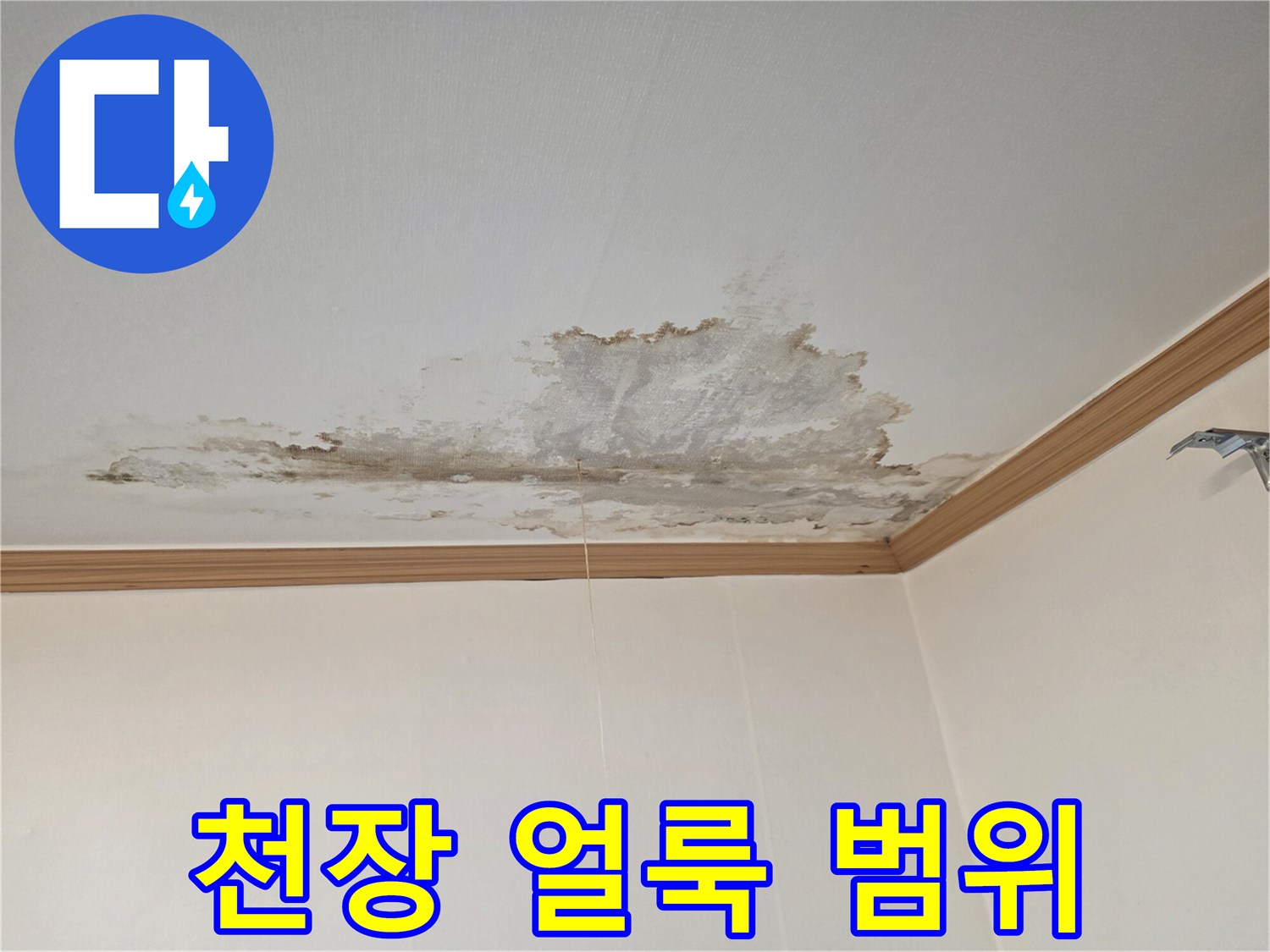 천장-가장자리-를-따라-번진-물샘-흔적
