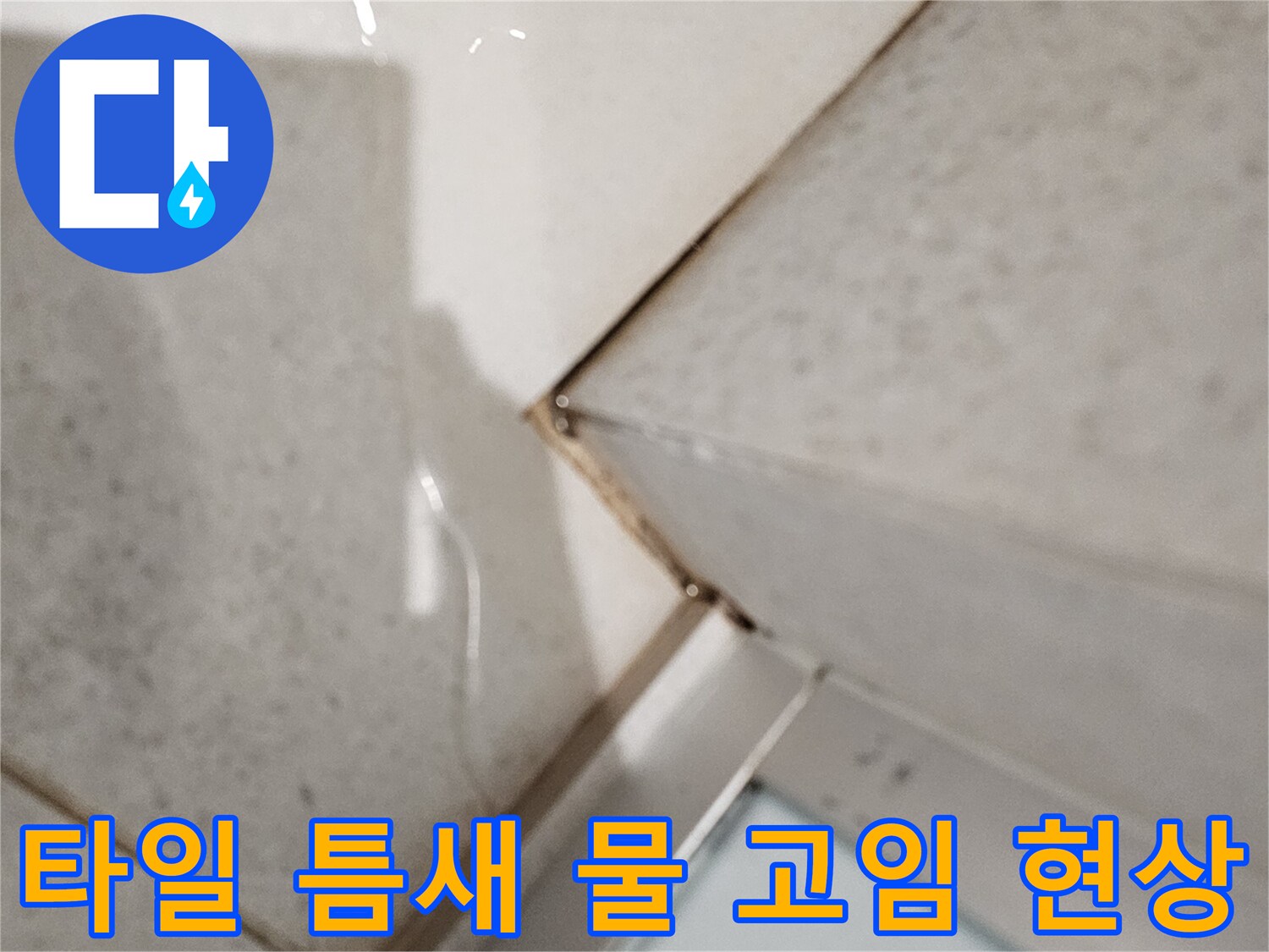 욕실-바닥-타일-사이-물고임-및-습기-발생-부위