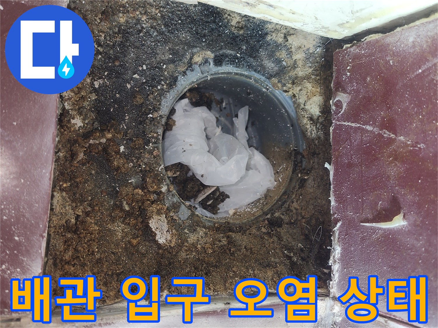 누수가-발생한-화장실-배수구-내부-상태