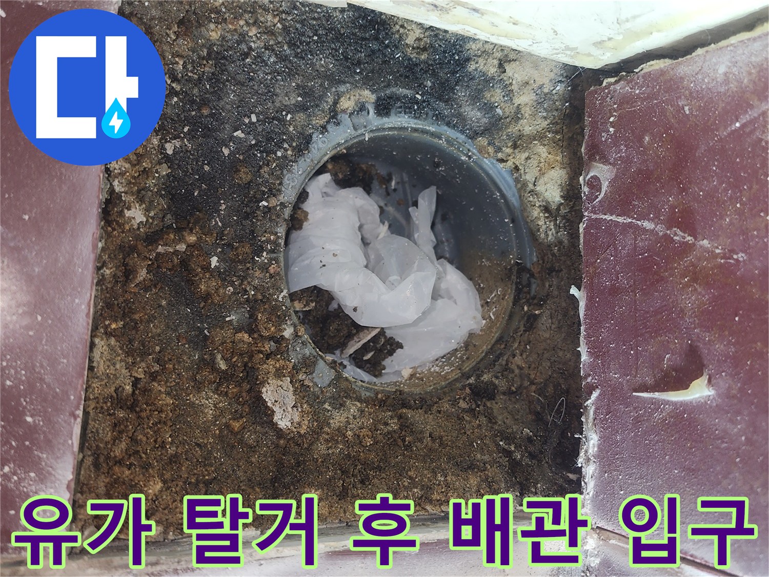 오염된-욕실-배수구-주변의-타일-상태
