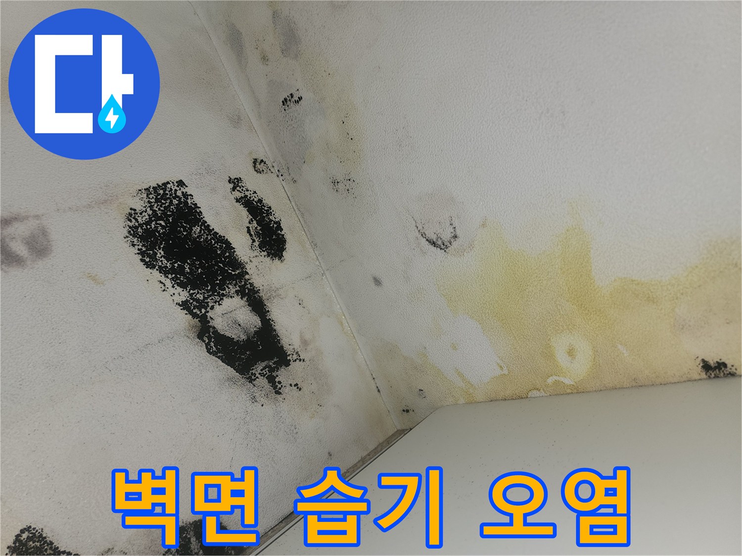 화장실-벽면-모서리-물자국과-곰팡이