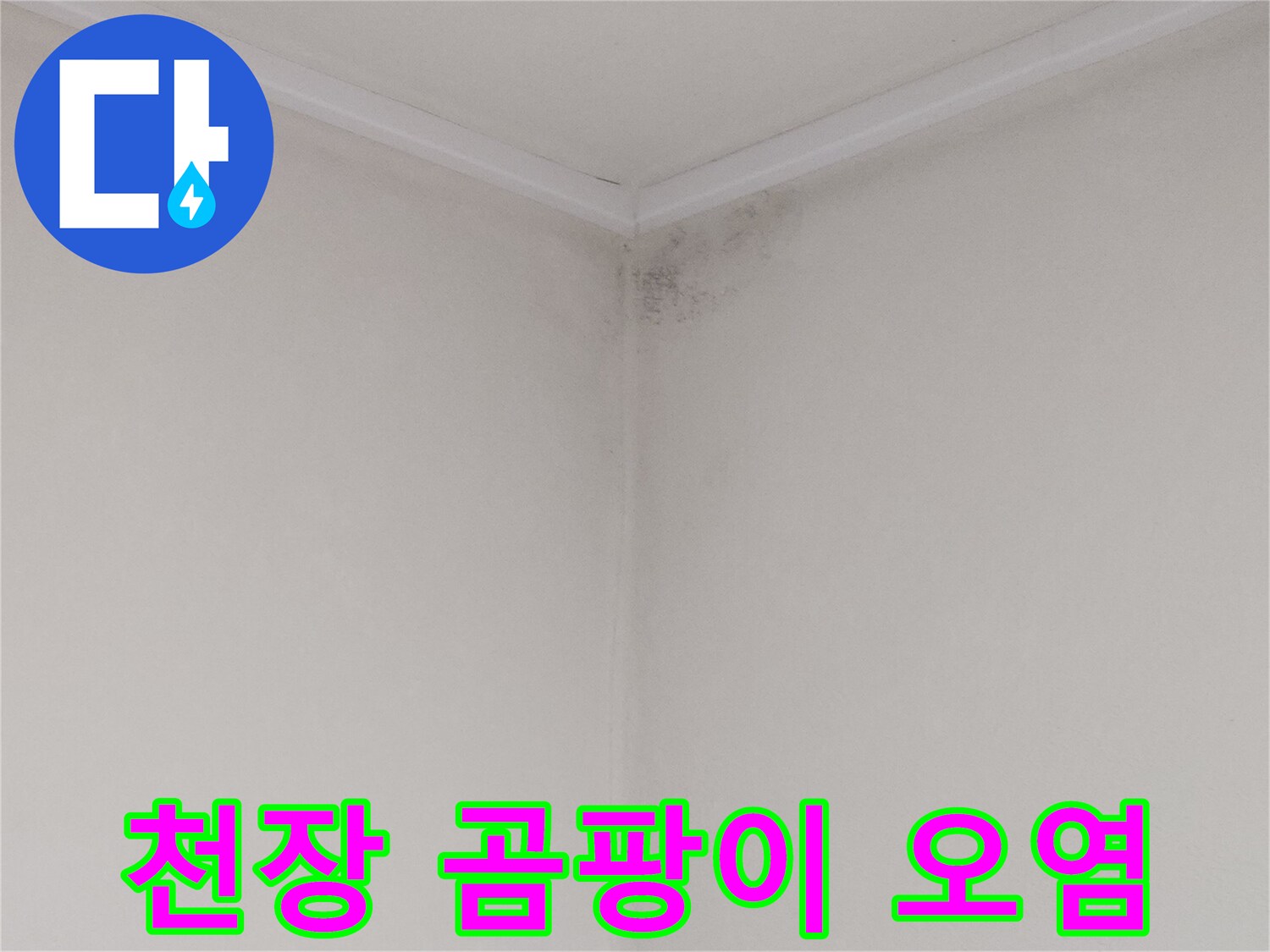 물샘으로 인한 천장 모서리 곰팡이 및 변색 상태