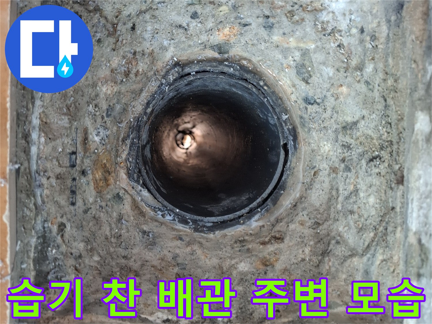습기와-이물질로-가득한-배수구-주변