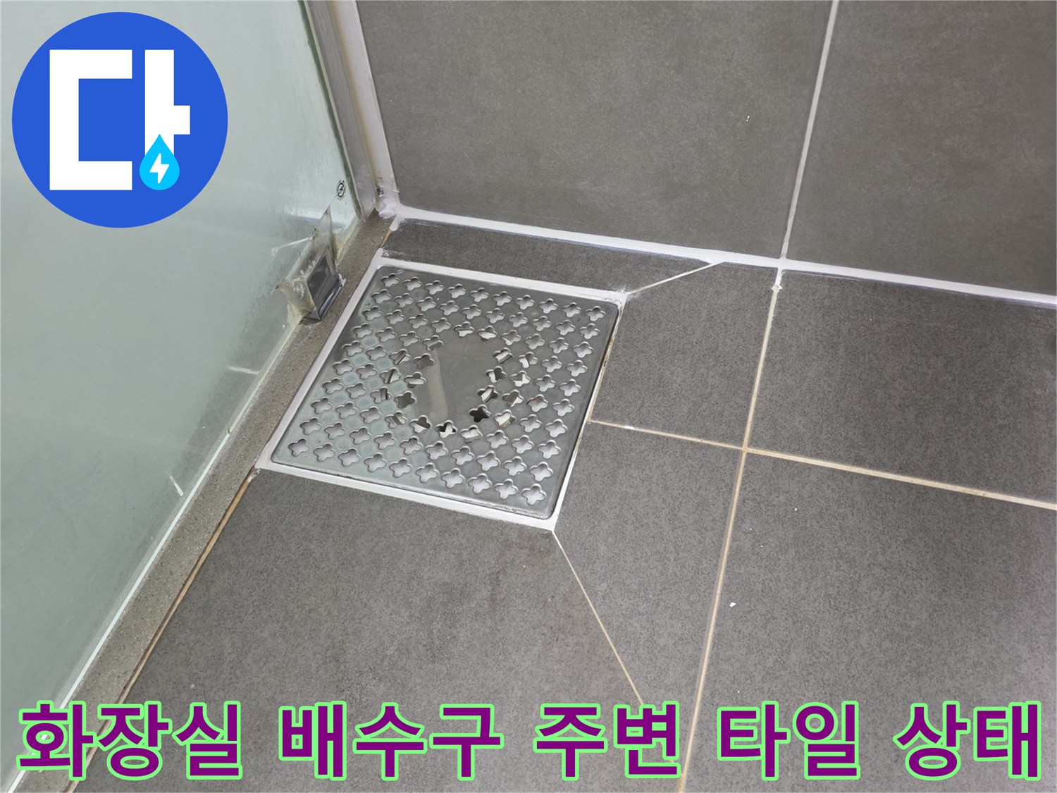 파주 문산읍 화장실-배수구 인근 타일 틈새 확인