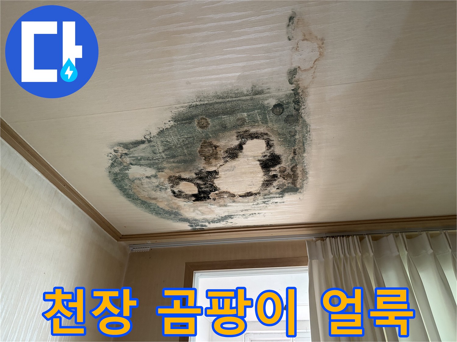 부천 도당동 현장의 천장 곰팡이와 물샘 흔적