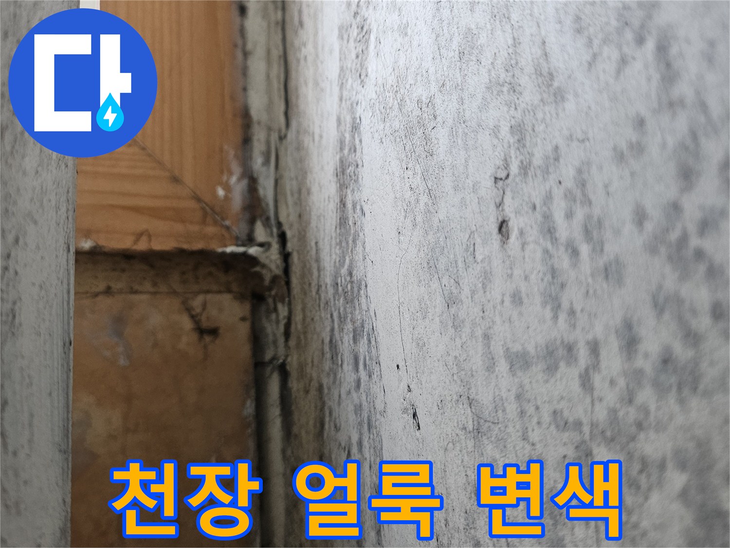 세탁실-천장-누수-흔적-및-변색-상태
