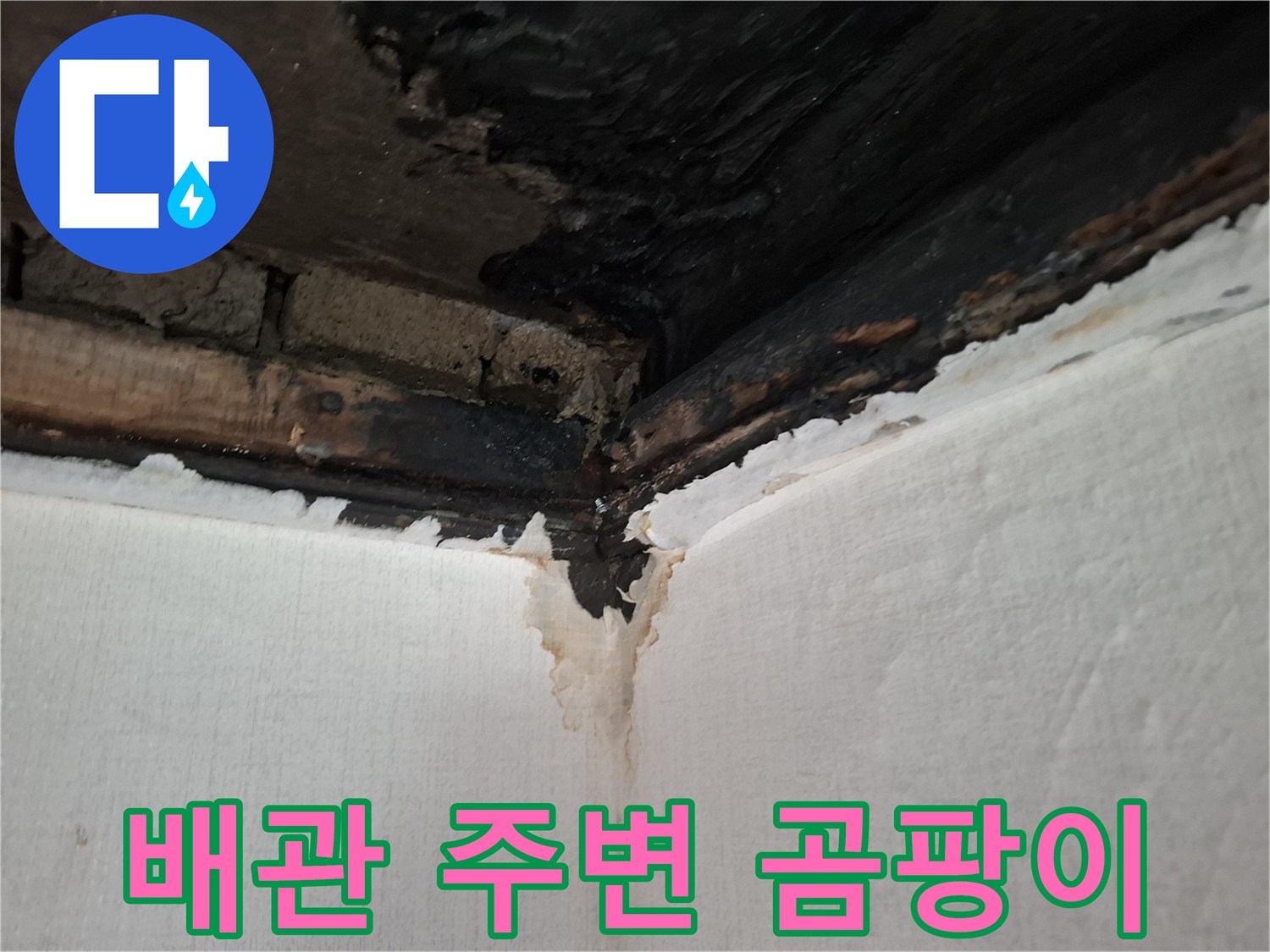 안양동 현장-천장 모서리의 검은색 누수 흔적