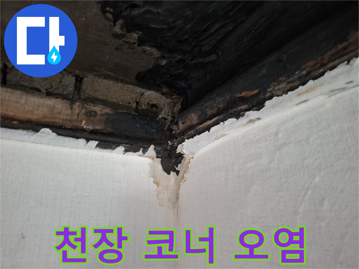 천장-구석-배관-주변의-검은색-물때-흔적