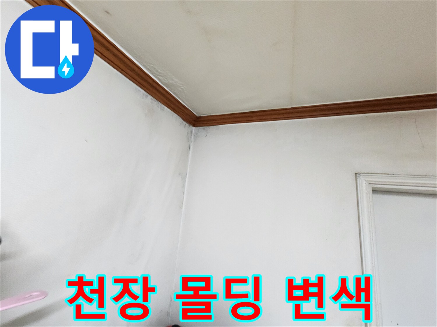 천장-몰딩-주변의-누수_및_습기_상태