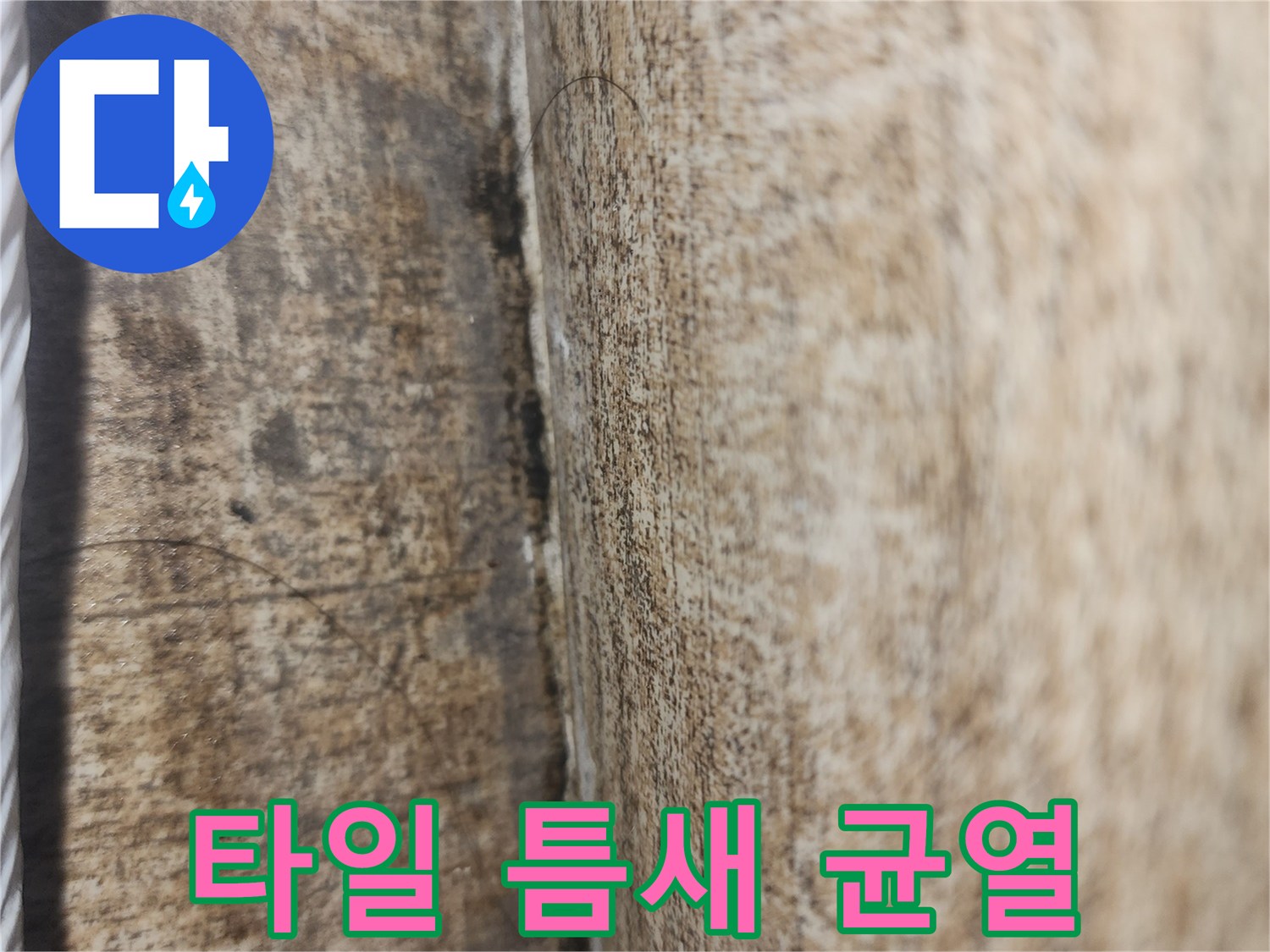 균열된-타일-줄눈-부위-근접-촬영