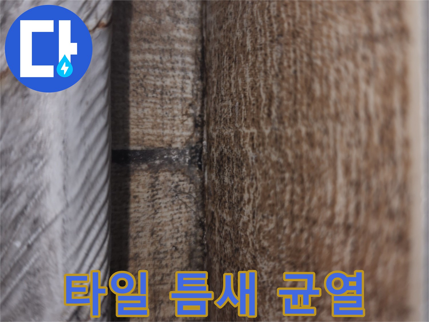 물길이-생긴-타일-사이-틈새