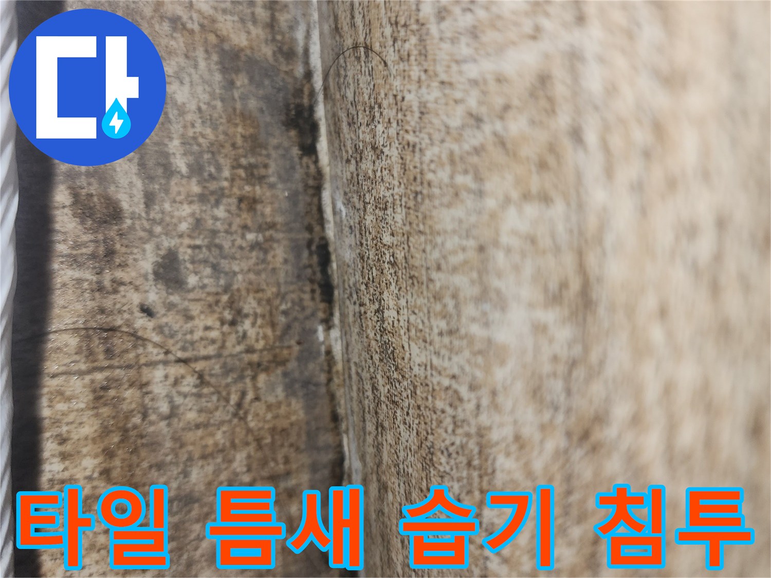 습기가-스며든-베란다-타일-줄눈-부위