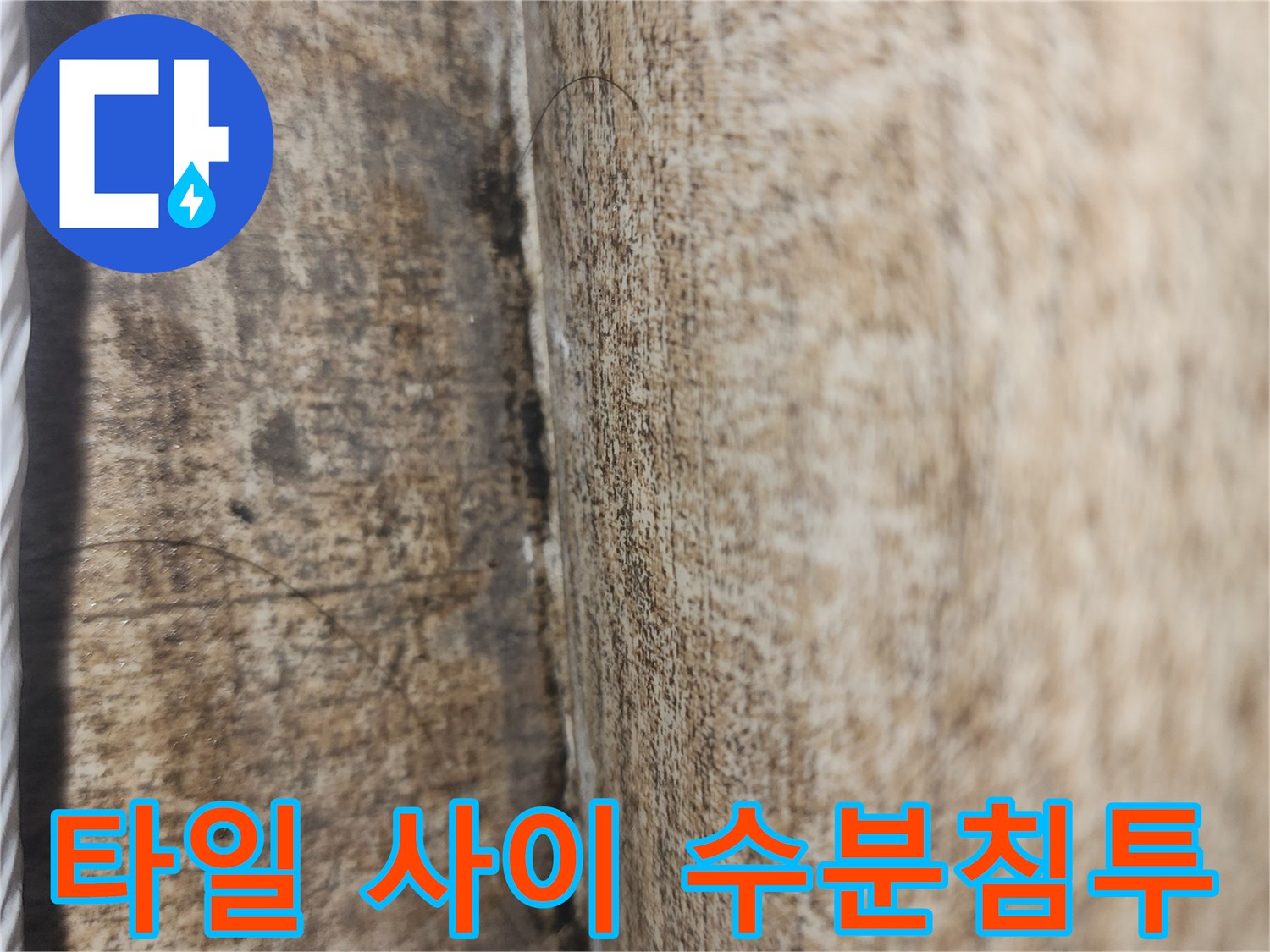 축축하게 젖은-베란다 타일 경계 라인