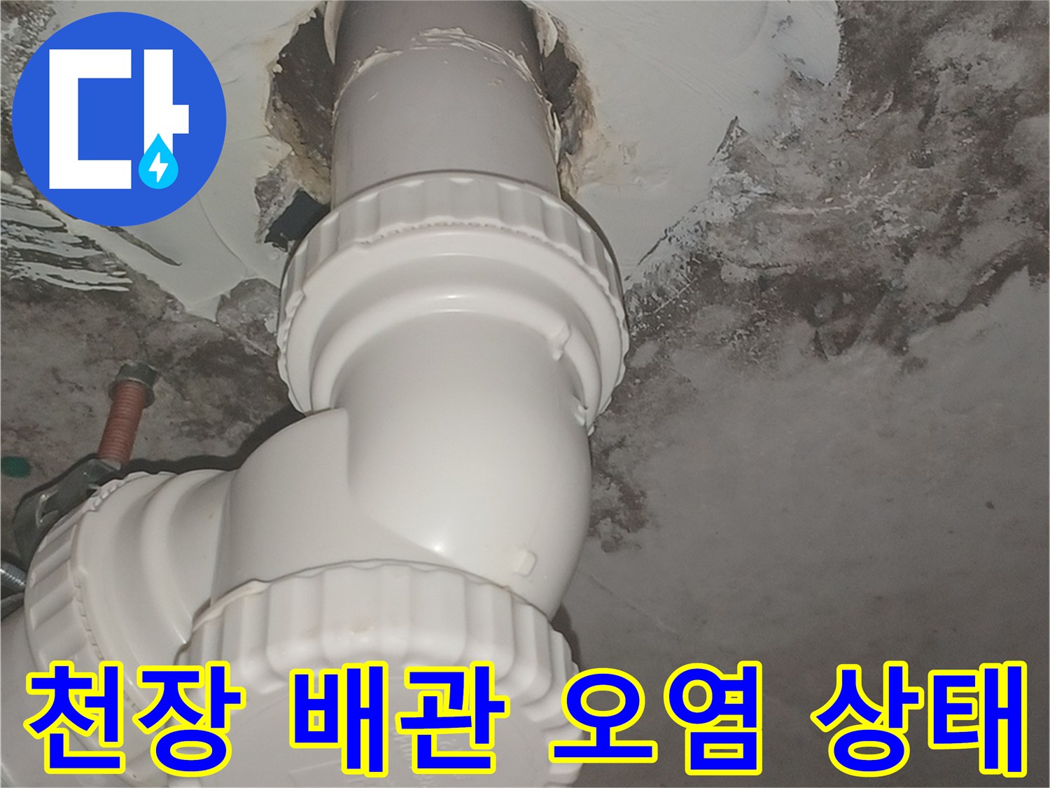 화장실-천장-배관-주변의-심한-곰팡이와-습기-흔적