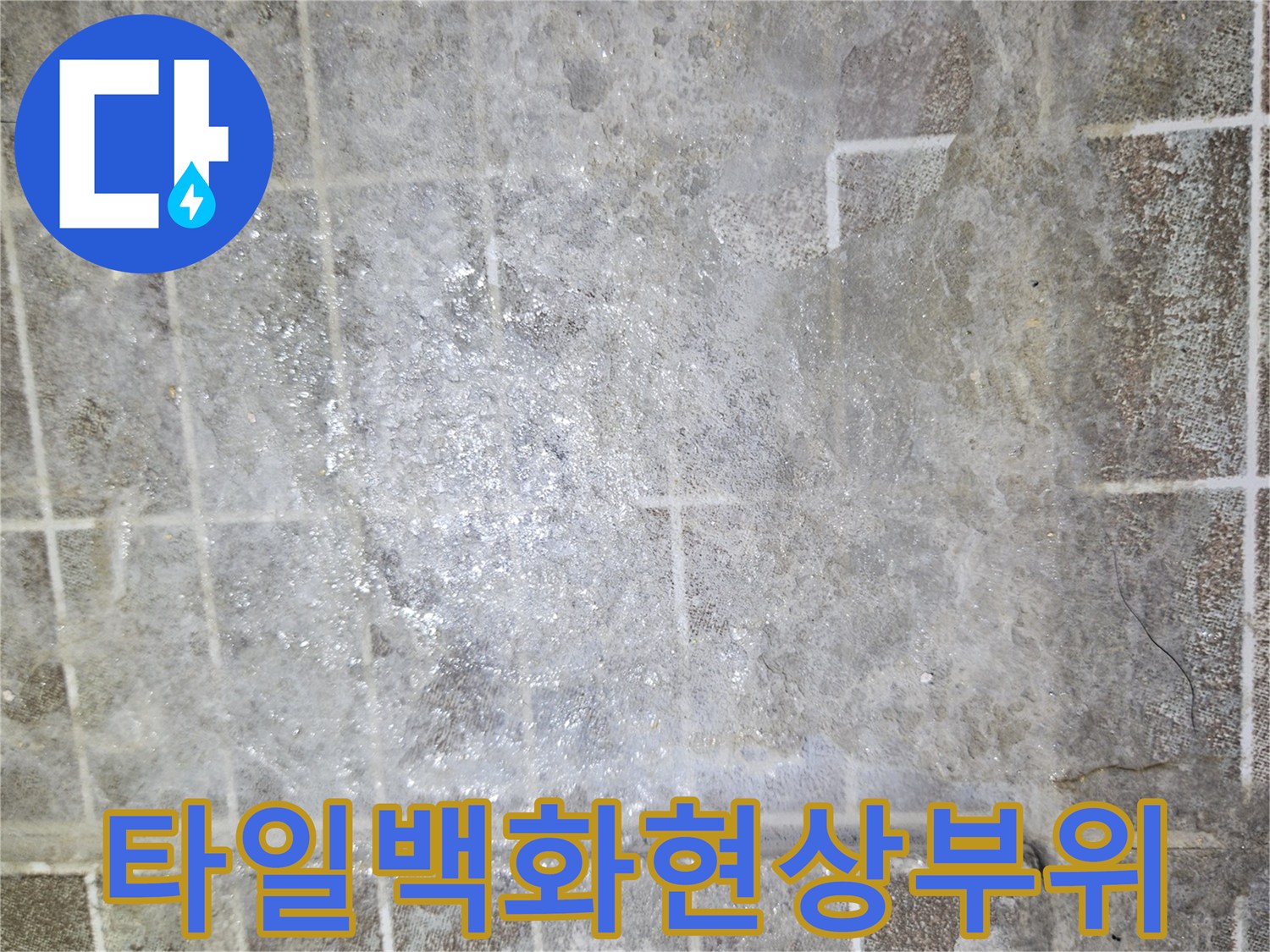 화성-진안동-타일-사이의-하얀-백화-현상-사진