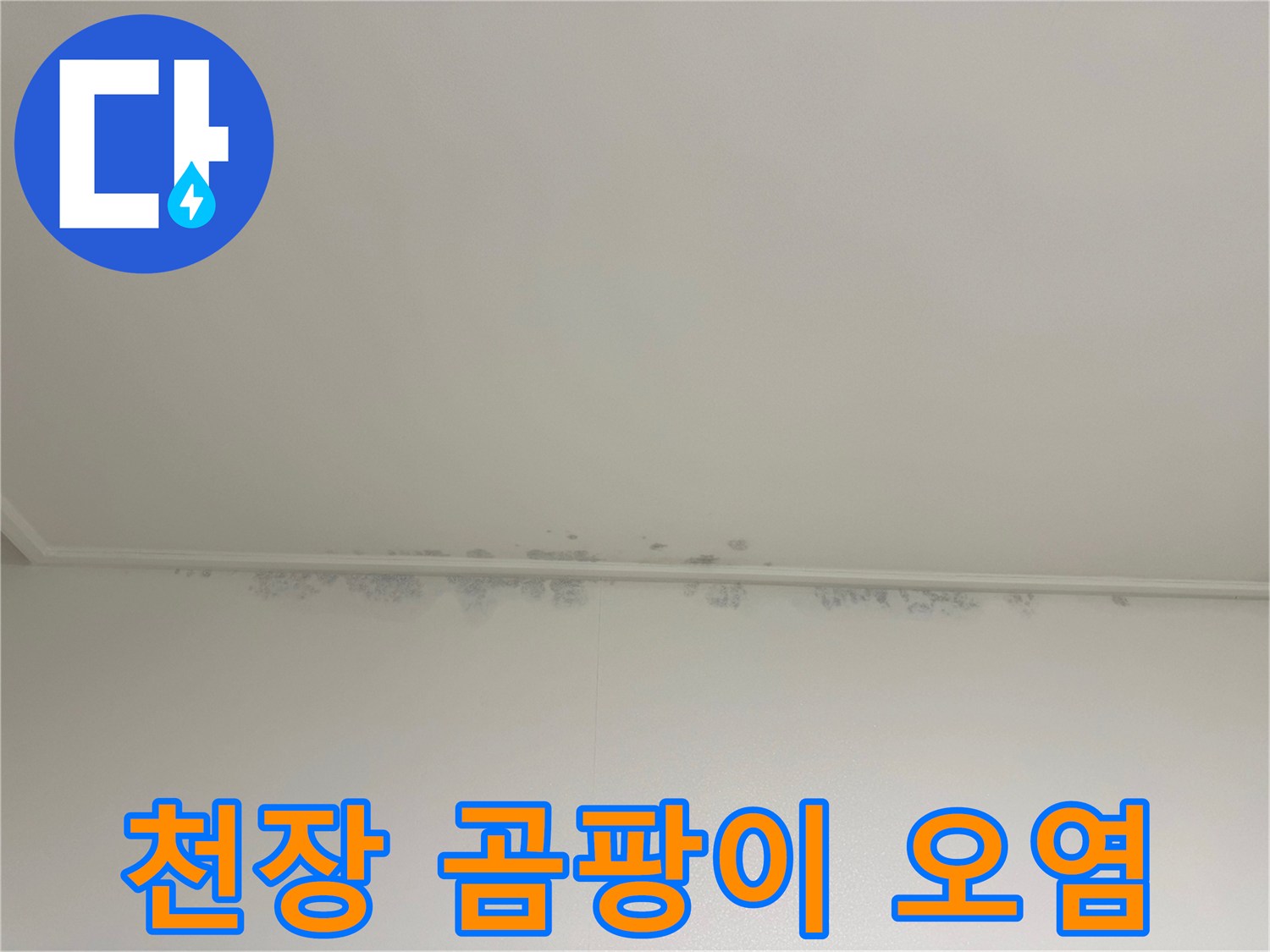 벽면 상단 천장의 검은 곰팡이 자국