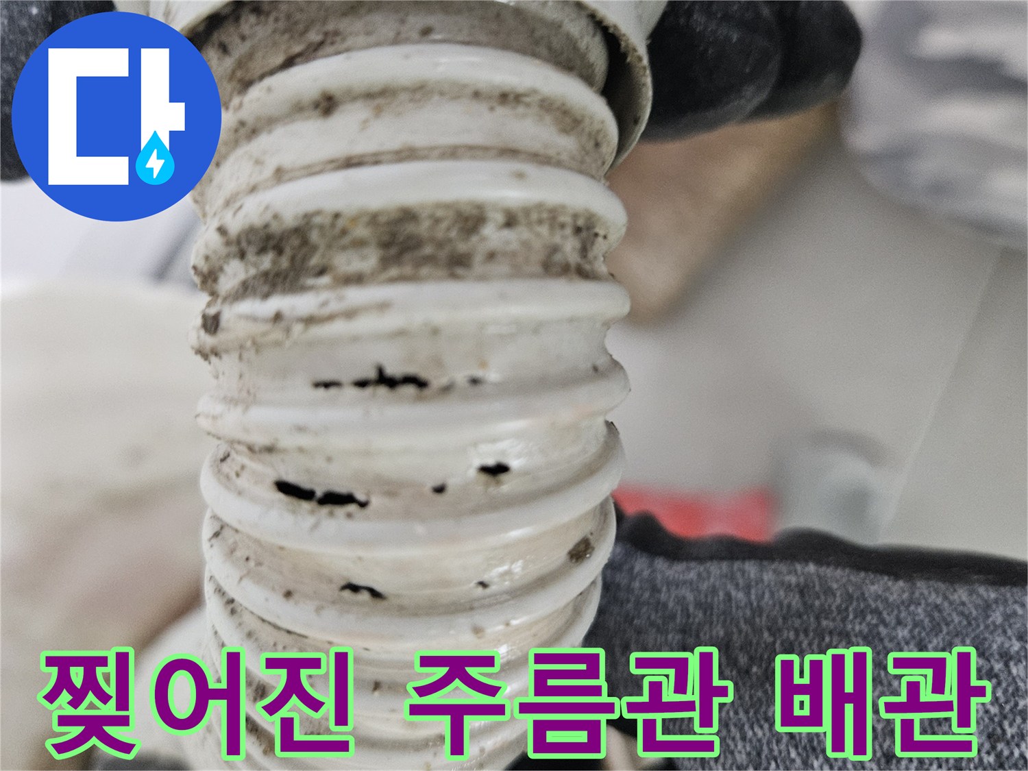 균열이 발생한-화장실 자바라 배수 호스