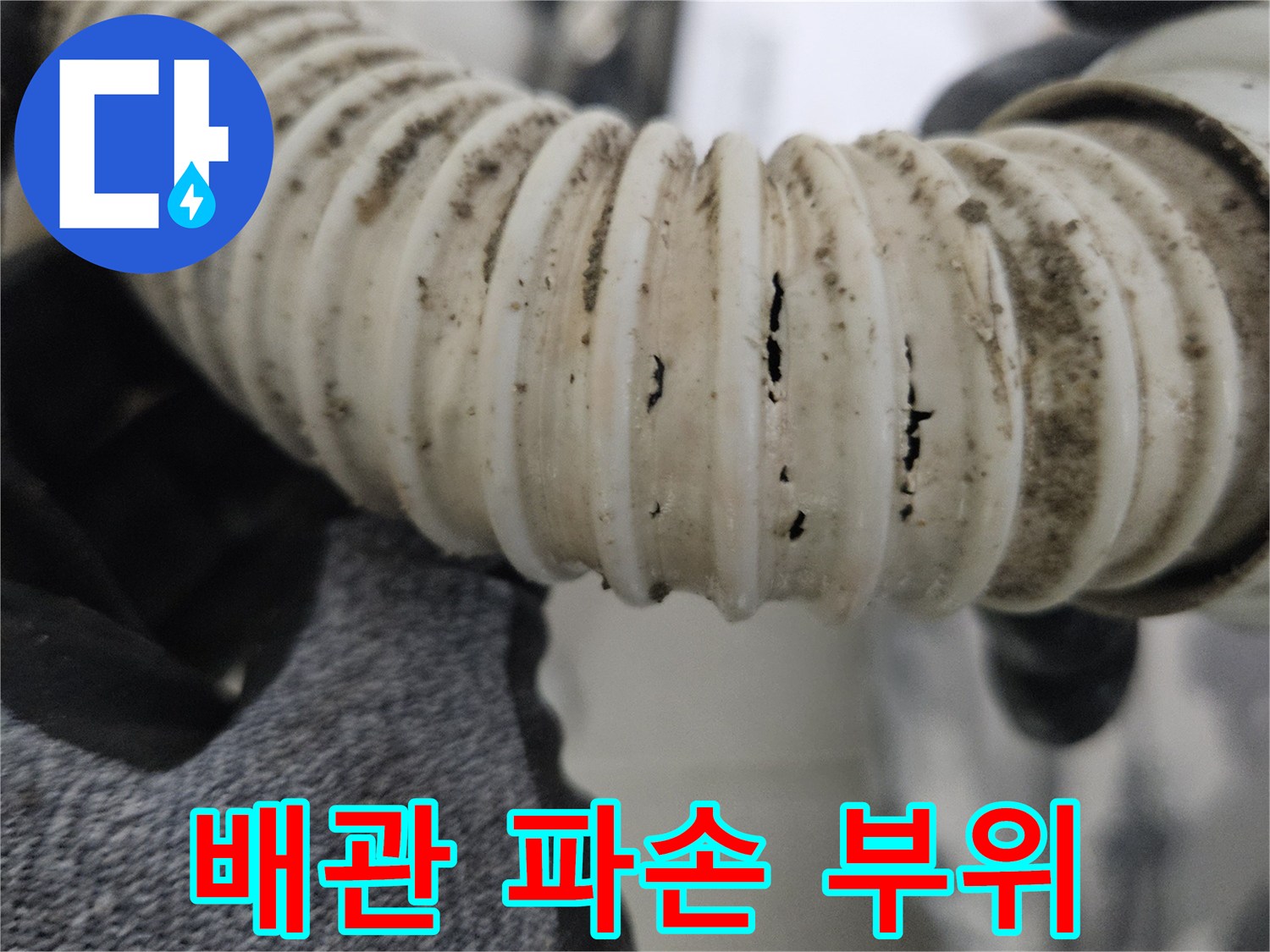 찢어진-자바라-호스-상태