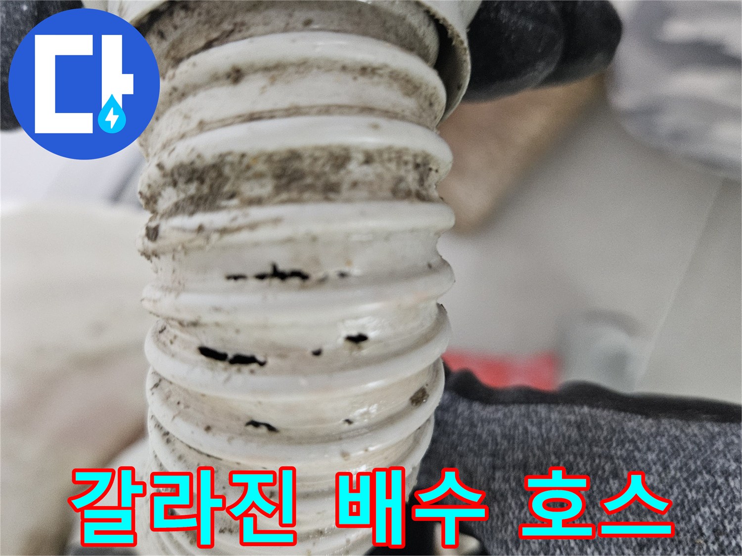 틈이 벌어져 있는-하얀색 주름 형태의 관
