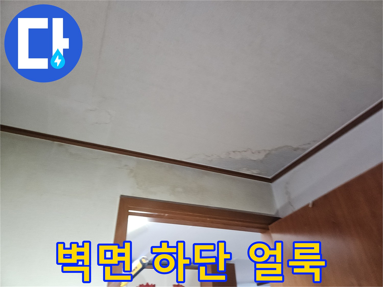 습기가 침투하여 젖어 있는 아파트 벽면 하단부 모습